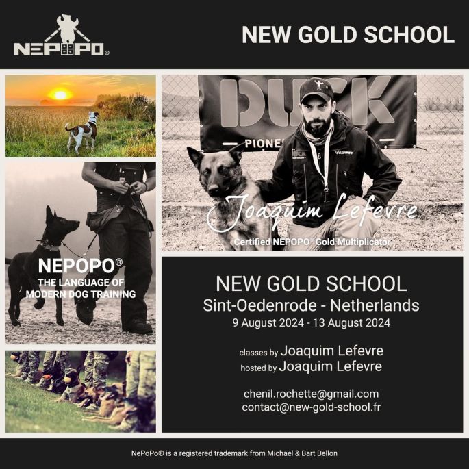 New Gold School - Hollande